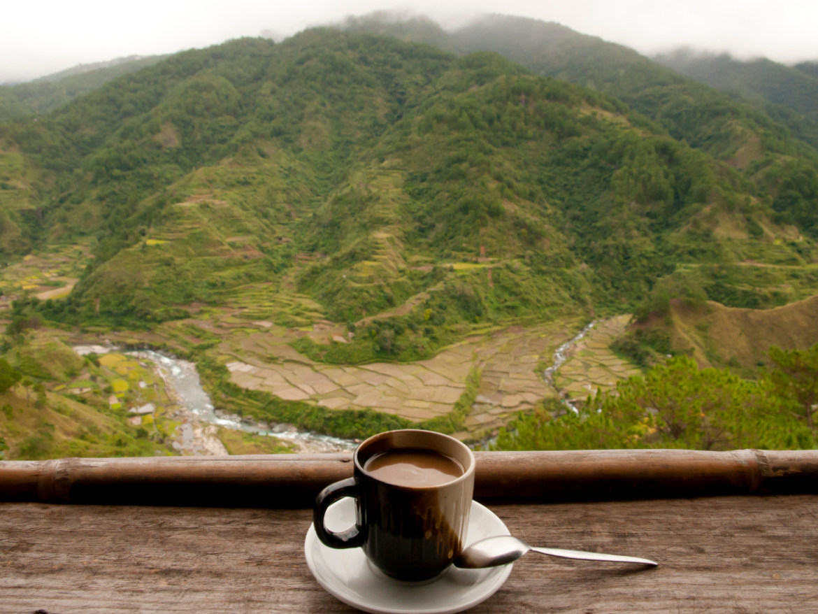 Visit a Luwak Coffee Plantation in Bali